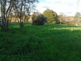  2497948-10327annonce120260430n4cwn.jpeg Maisons Open