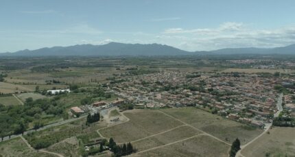 Ponteilla Terrain à bâtir - 2400576-4671annonce120260121ADi9f.jpeg Maisons Open