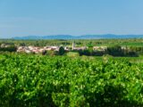  2466434-11017annonce120260325M2xO3.jpeg Maisons Open