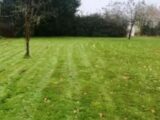  2501017-10617annonce12026050400wSG.jpeg Maisons Open