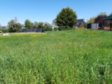  2498684-5754annonce2202604309st9h.jpeg Maisons Open