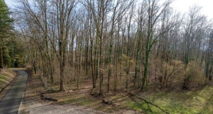 Thénioux Terrain à bâtir - 2501745-11209annonce120260505APZru.jpeg Maisons Open