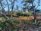  2501535-5100annonce120260505Ow9NK.jpeg Maisons Open