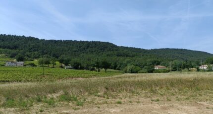 Salernes Terrain à bâtir - 2501861-9911annonce220260505Oln05.jpeg Maisons Open
