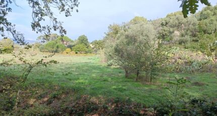 Fréjus Terrain à bâtir - 2501991-9911annonce420260505T0hUs.jpeg Maisons Open