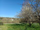  2502015-1086annonce220260505ln9Ad.jpeg Maisons Open