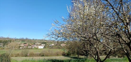 Terrain à bâtir à , Lot-et-Garonne