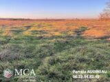  2443644-3601annonce120260227ymTea.jpeg Maisons Open