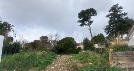 Aix-en-Provence Terrain à bâtir - 2441083-11680annonce420260225gpbNU.jpeg Maisons Open