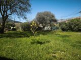  2503005-11039annonce120260506gcKOb.jpeg Maisons Open