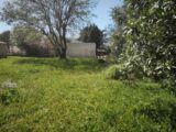  2503005-11039annonce320260506bFKQ3.jpeg Maisons Open