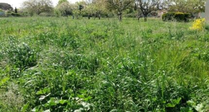 Bragayrac Terrain à bâtir - 2502690-9555annonce120260506nbPp1.jpeg Maisons Open