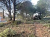  2503351-3969annonce1202605062O9OE.jpeg Maisons Open