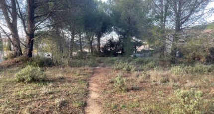 Alleins Terrain à bâtir - 2503351-3969annonce220260506uJ9eB.jpeg Maisons Open