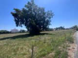 2503633-11452annonce420260506xXWsi.jpeg Maisons Open