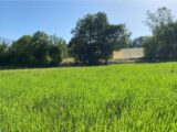  2452094-3921annonce220260310yR5hA.jpeg Maisons Open
