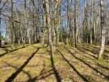  2474696-11804annonce120260402sBQnD.jpeg Maisons Open