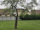  2504247-4684annonce120260507LKLda.jpeg Maisons Open