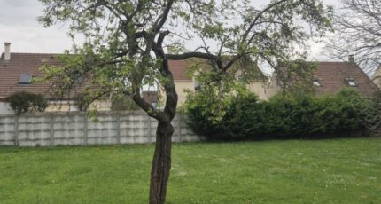Brie-Comte-Robert Terrain à bâtir - 2504247-4684annonce120260507LKLda.jpeg Maisons Open