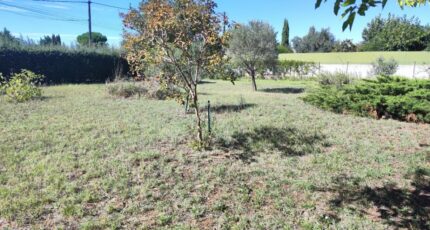 Vidauban Terrain à bâtir - 2504471-11039annonce120260507XTPJp.jpeg Maisons Open