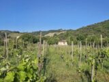  2504643-11248annonce420260507a26oe.jpeg Maisons Open