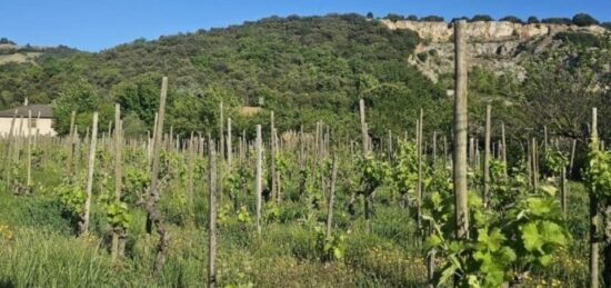 Terrain à bâtir à , Ardèche