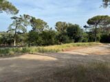  2430810-11455annonce1202602169VTvy.jpeg Maisons Open