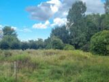  2504630-4496annonce120250924PGlgW.jpeg Maisons Open