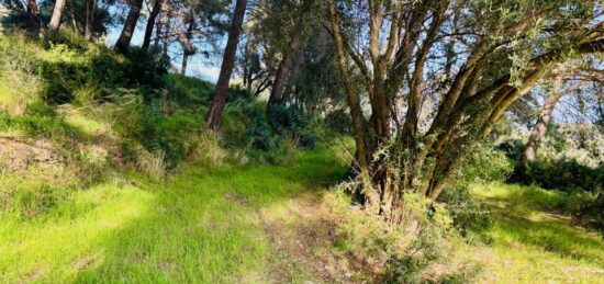Terrain à bâtir à , Var