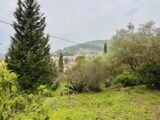  2497565-9707annonce2202604303Ro2E.jpeg Maisons Open