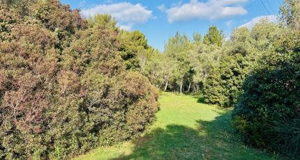 Ollioules Terrain à bâtir - 2499670-9707annonce520260504XgwDJ.jpeg Maisons Open