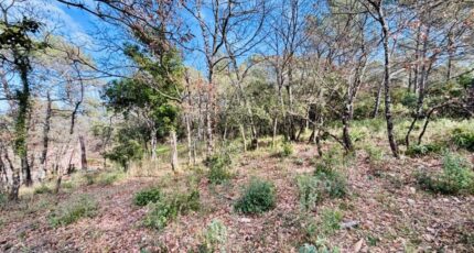 Rocbaron Terrain à bâtir - 2499758-9707annonce420260504IIhEE.jpeg Maisons Open