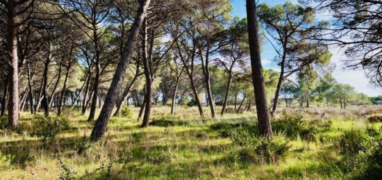 Terrain à bâtir à , Var