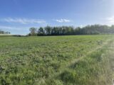  2504257-3921annonce320260507XMimQ.jpeg Maisons Open