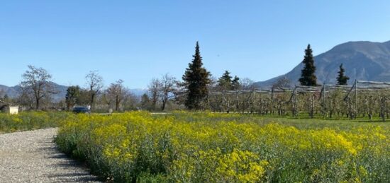 Terrain à bâtir à Ventavon, Provence-Alpes-Côte d'Azur