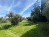  2448760-2970annonce220260305ifM5X.jpeg Maisons Open