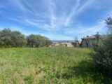  2448782-2970annonce120260305t63VO.jpeg Maisons Open