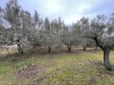  2476572-2970annonce220260404g9JLW.jpeg Maisons Open