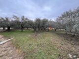  2476603-2970annonce220260404SutLn.jpeg Maisons Open