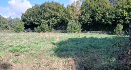 Reux Terrain à bâtir - 2505478-11563annonce220250905f3mdZ.jpeg Maisons Open