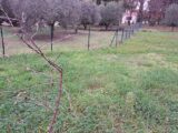  2505561-11041annonce32026051049Ucp.jpeg Maisons Open