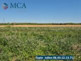  2505629-6087annonce120260511g4Trm.jpeg Maisons Open