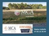  2472976-11516annonce120260404MlMUJ.jpeg Maisons Open