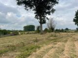 2472988-11030annonce220260401QieBE.jpeg Maisons Open
