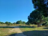  2505791-4671annonce120260511krKqh.jpeg Maisons Open