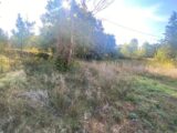  2506460-9599annonce120260511cmrVA.jpeg Maisons Open
