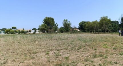 Galargues Terrain à bâtir - 2506443-3243annonce220250904Xlluq.jpeg Maisons Open
