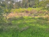  2507013-11016annonce120260511PRnL0.jpeg Maisons Open