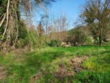  2448159-11137annonce120260305SA8yD.jpeg Maisons Open