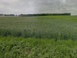  2507761-1887annonce120260512cW5gf.jpeg Maisons Open